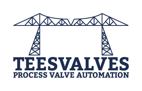 Tees Valves Logo Colour_1