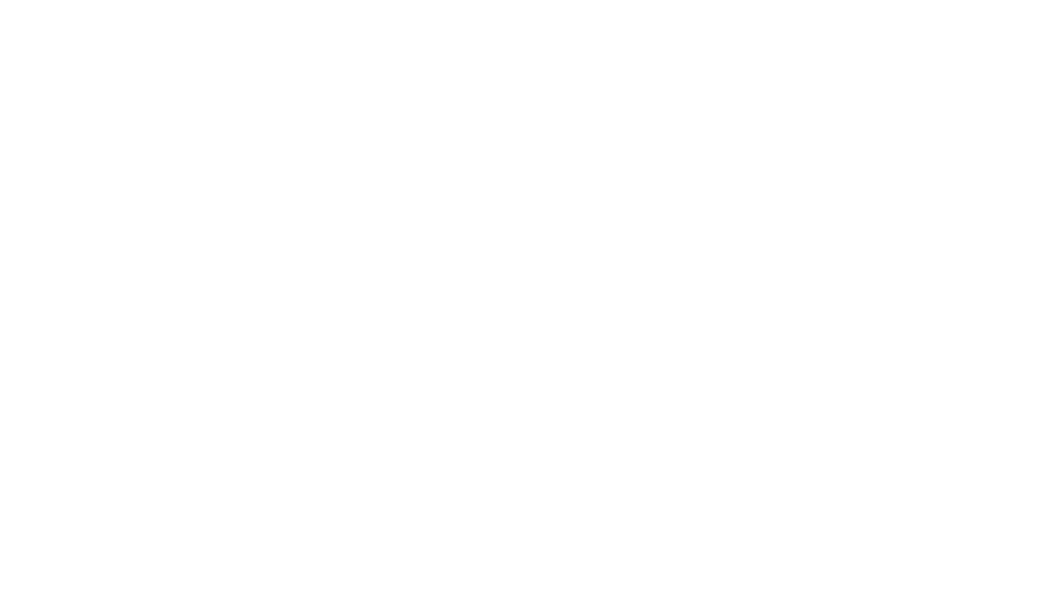 Tyne Valves Logo White