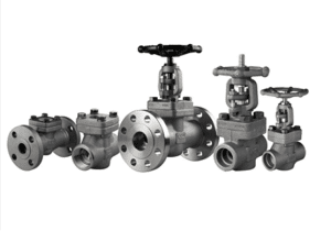 Bonney Forge Cast Valves GGC