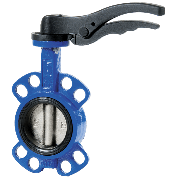 Bradnoni Butterfly Valve 1