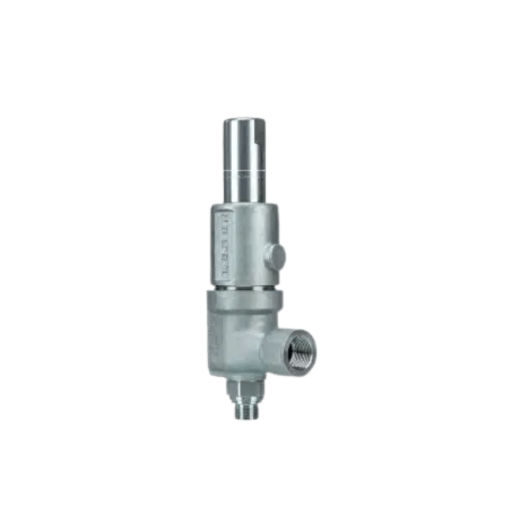 Leser Relief Valve Image